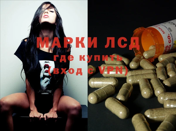 стаф Алексин