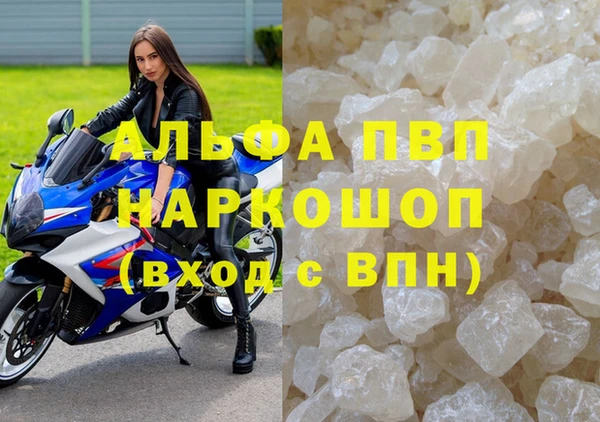 стаф Алексин