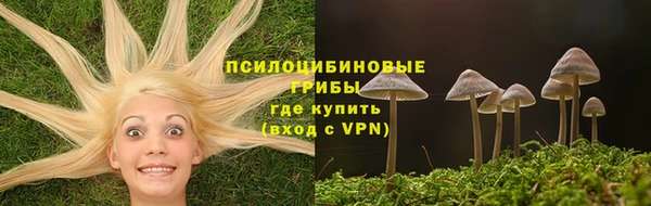 стаф Алексин