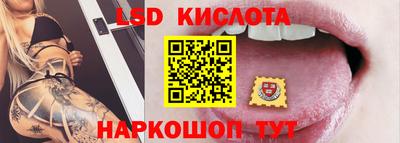 стаф Кандалакша