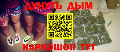 сатива Камышлов