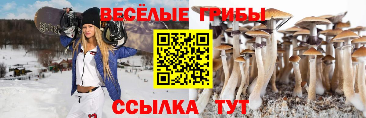 Псилоцибиновые грибы Psilocybe  Псилоцибиновые грибы Cubensis  Михайловск  Вход с VPN 